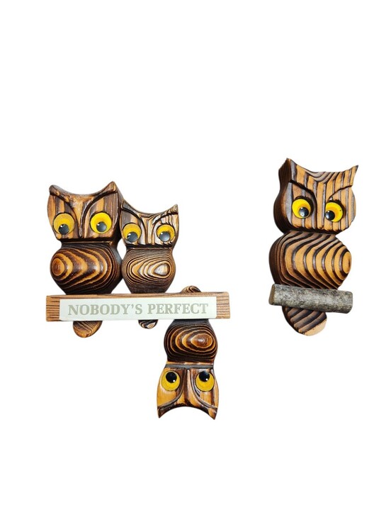 Other - Vintage Wooden Owl Wall Hanging 60s 70s Nobody's Perfect 2 Piece Decor
